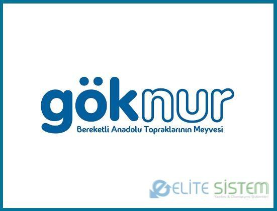 GÖKNUR GIDA