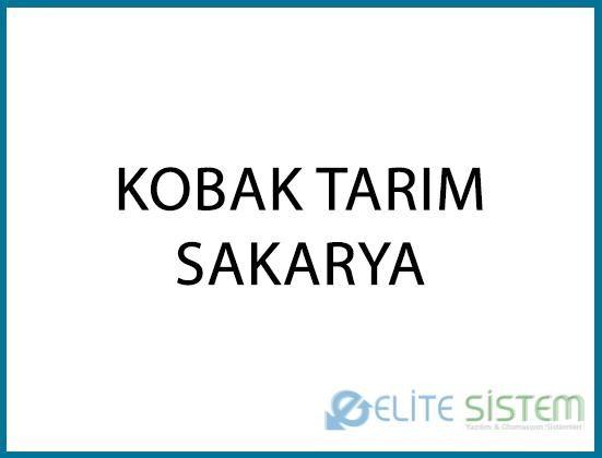 KOBAK TARIM / SAKARYA